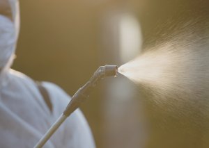 Servicii de Ecologizare Brasov