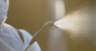 Servicii de Ecologizare Brasov