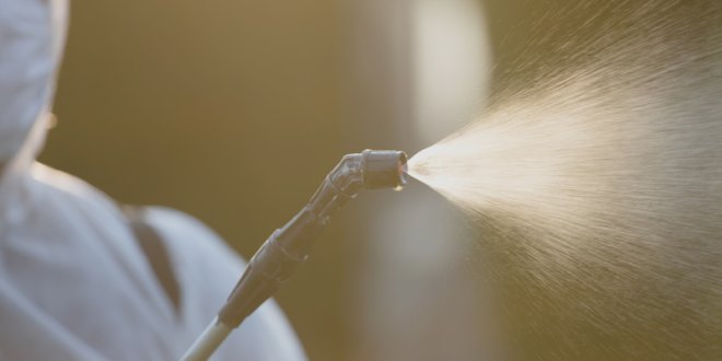 Servicii de Ecologizare Brasov
